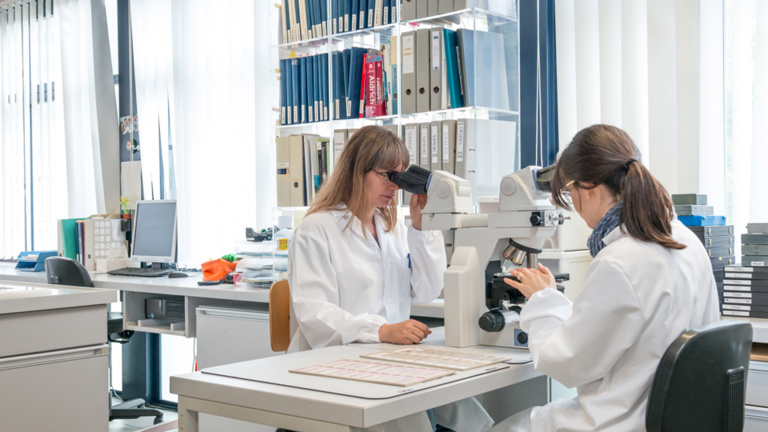 11 progetti di ricerca dal Fondo nazionale per oltre 3 milioni